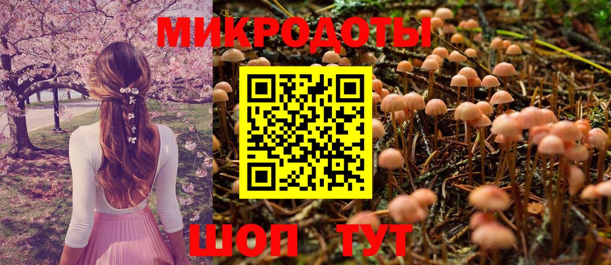 Галлюциногенные грибы мицелий Красноярск